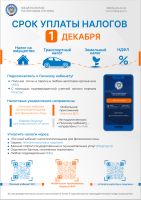 Срок уплаты налогов Срок уплаты налогов